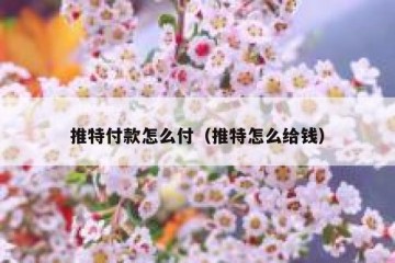 推特付款怎么付（推特怎么给钱）