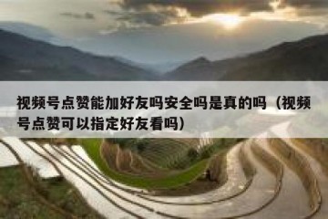 视频号点赞能加好友吗安全吗是真的吗（视频号点赞可以指定好友看吗）