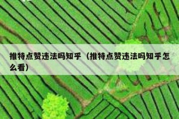 推特点赞违法吗知乎（推特点赞违法吗知乎怎么看）