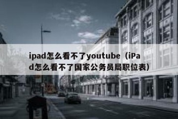 ipad怎么看不了youtube（iPad怎么看不了国家公务员局职位表）