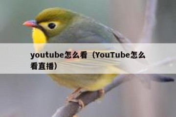 youtube怎么看（YouTube怎么看直播）