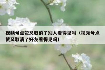 视频号点赞又取消了别人看得见吗（视频号点赞又取消了好友看得见吗）