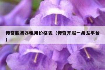 传奇服务器租用价格表（传奇开服一条龙平台）