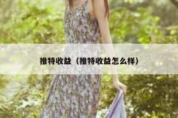 推特收益（推特收益怎么样）