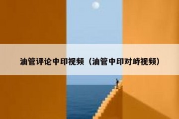 油管评论中印视频（油管中印对峙视频）