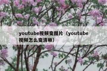 youtube视频变图片（youtube视频怎么变清晰）