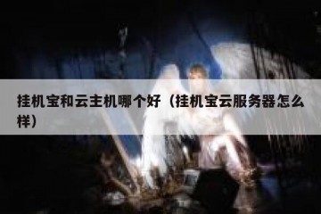 挂机宝和云主机哪个好（挂机宝云服务器怎么样）