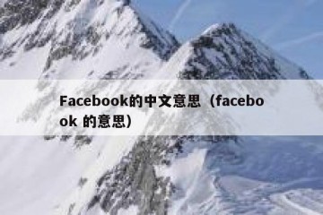 Facebook的中文意思（facebook 的意思）