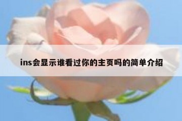 ins会显示谁看过你的主页吗的简单介绍