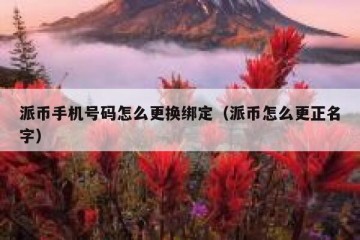 派币手机号码怎么更换绑定（派币怎么更正名字）