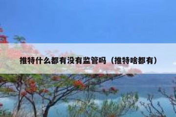 推特什么都有没有监管吗（推特啥都有）