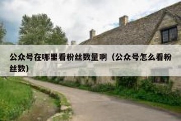 公众号在哪里看粉丝数量啊（公众号怎么看粉丝数）