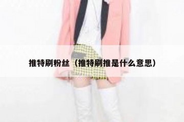 推特刷粉丝（推特刷推是什么意思）