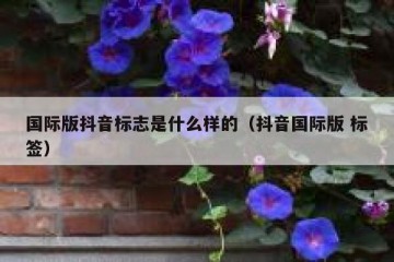 国际版抖音标志是什么样的（抖音国际版 标签）