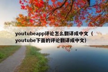 youtubeapp评论怎么翻译成中文（youtube下面的评论翻译成中文）