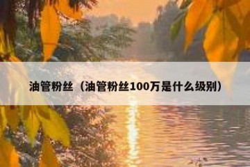 油管粉丝（油管粉丝100万是什么级别）