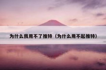 为什么我用不了推特（为什么用不起推特）