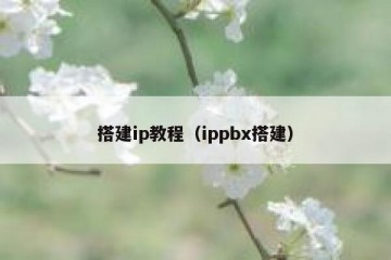 搭建ip教程（ippbx搭建）