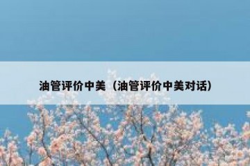 油管评价中美（油管评价中美对话）