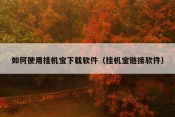 如何使用挂机宝下载软件（挂机宝链接软件）