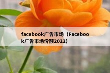 facebook广告市场（Facebook广告市场份额2022）