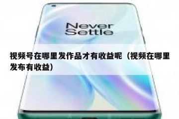 视频号在哪里发作品才有收益呢（视频在哪里发布有收益）