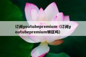 订阅youtubepremium（订阅youtubepremium锁区吗）