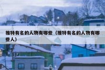 推特有名的人物有哪些（推特有名的人物有哪些人）