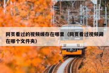网页看过的视频缓存在哪里（网页看过视频藏在哪个文件夹）