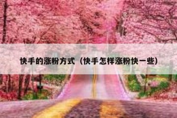 快手的涨粉方式（快手怎样涨粉快一些）