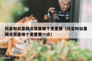 抖音粉丝量跟点赞量哪个更重要（抖音粉丝量跟点赞量哪个更重要一点）