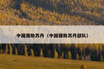中国援助苏丹（中国援助苏丹部队）