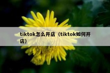 tiktok怎么开店（tiktok如何开店）