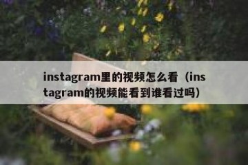 instagram里的视频怎么看（instagram的视频能看到谁看过吗）