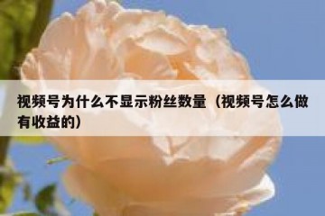 视频号为什么不显示粉丝数量（视频号怎么做有收益的）