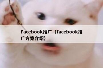 Facebook推广（facebook推广方案介绍）