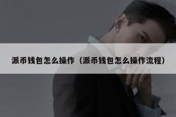 派币钱包怎么操作（派币钱包怎么操作流程）