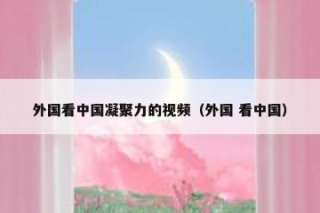 外国看中国凝聚力的视频（外国 看中国）