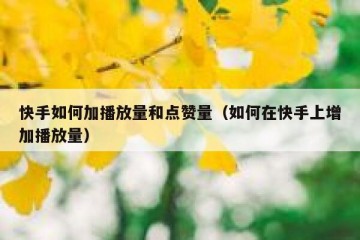 快手如何加播放量和点赞量（如何在快手上增加播放量）