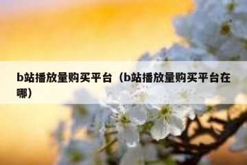 b站播放量购买平台（b站播放量购买平台在哪）