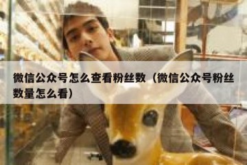 微信公众号怎么查看粉丝数（微信公众号粉丝数量怎么看）