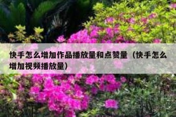 快手怎么增加作品播放量和点赞量（快手怎么增加视频播放量）