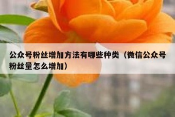 公众号粉丝增加方法有哪些种类（微信公众号粉丝量怎么增加）