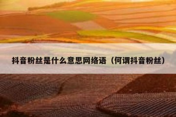 抖音粉丝是什么意思网络语（何谓抖音粉丝）