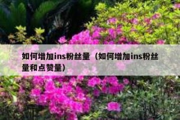 如何增加ins粉丝量（如何增加ins粉丝量和点赞量）