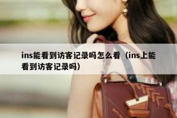 ins能看到访客记录吗怎么看（ins上能看到访客记录吗）