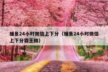 捕鱼24小时微信上下分（捕鱼24小时微信上下分霸王精）