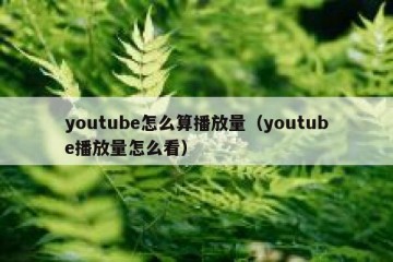youtube怎么算播放量（youtube播放量怎么看）