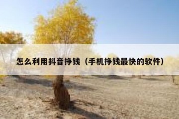 怎么利用抖音挣钱（手机挣钱最快的软件）