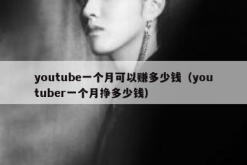 youtube一个月可以赚多少钱（youtuber一个月挣多少钱）